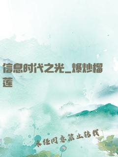 信息时代之光