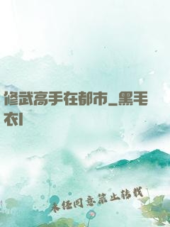 修武高手在都市