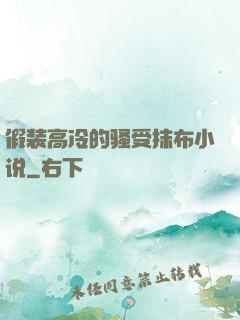 假装高冷的骚受抹布小说