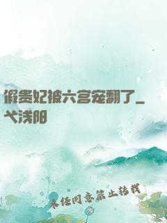 假贵妃被六宫宠翻了