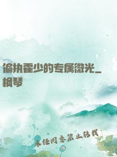 偏执霍少的专属微光