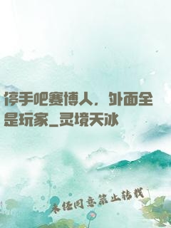停手吧赛博人，外面全是玩家
