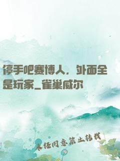 停手吧赛博人，外面全是玩家