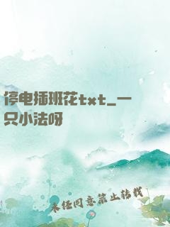 停电插班花txt
