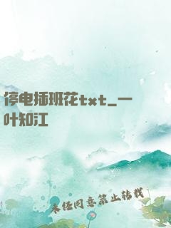 停电插班花txt
