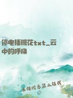 停电插班花txt