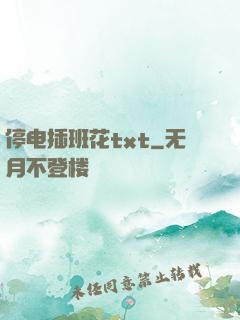 停电插班花txt
