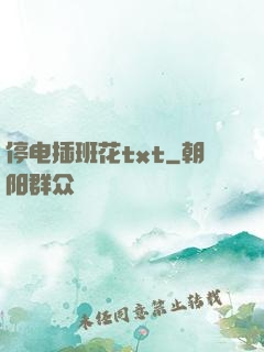 停电插班花txt