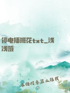 停电插班花txt