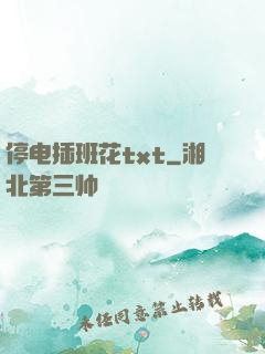 停电插班花txt