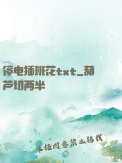 停电插班花txt