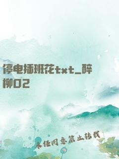 停电插班花txt