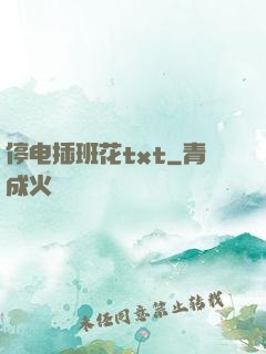 停电插班花txt