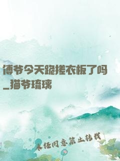 傅爷今天跪搓衣板了吗