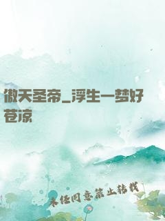 傲天圣帝