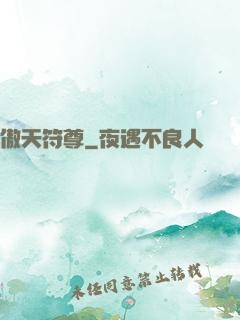 傲天符尊