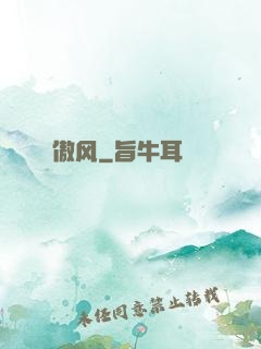 傲风