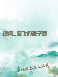 傲风
