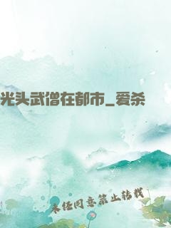 光头武僧在都市