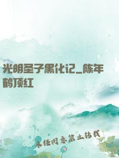 光明圣子黑化记