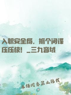 入职安全局，抓个间谍压压惊！