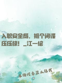 入职安全局，抓个间谍压压惊！