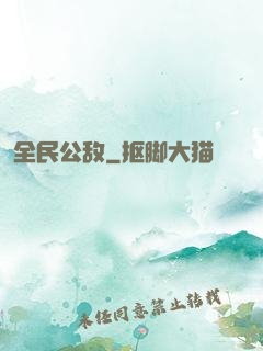 全民公敌