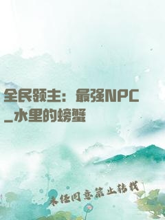 全民领主：最强NPC