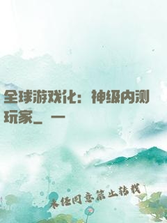 全球游戏化：神级内测玩家