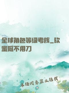全球角色等级考核