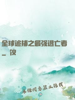 全球追捕之最强逃亡者