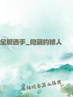 全职选手