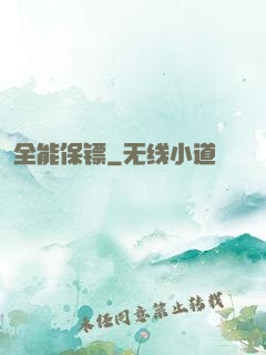 全能保镖