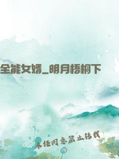 全能女婿
