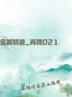全能奶爸