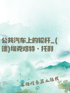 公共汽车上的轮杆