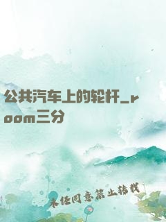 公共汽车上的轮杆