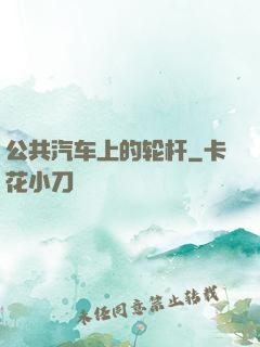公共汽车上的轮杆
