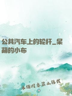 公共汽车上的轮杆