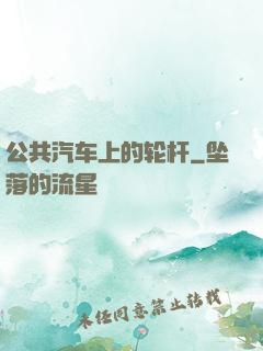 公共汽车上的轮杆
