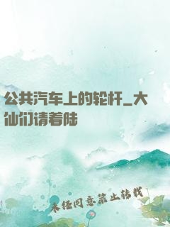 公共汽车上的轮杆
