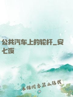 公共汽车上的轮杆
