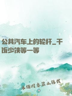 公共汽车上的轮杆