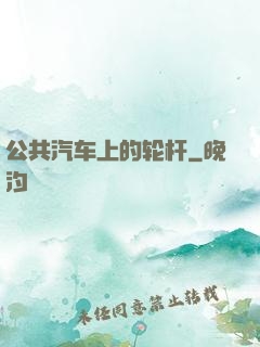 公共汽车上的轮杆
