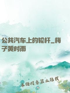 公共汽车上的轮杆