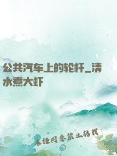 公共汽车上的轮杆