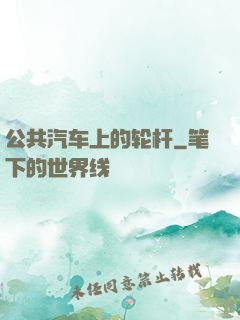 公共汽车上的轮杆