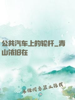 公共汽车上的轮杆