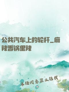 公共汽车上的轮杆
