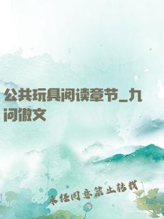 公共玩具阅读章节